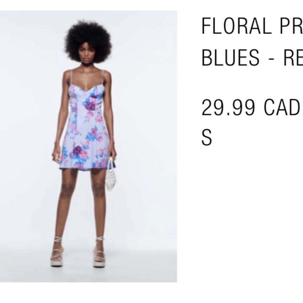 Zara Dress